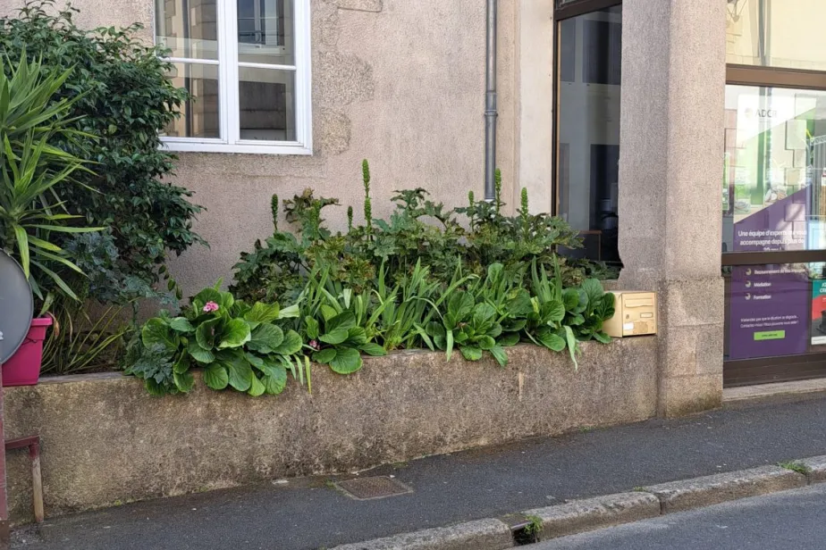 Immobilier Professionnel à louer CLISSON, Clisson, Passio Immo