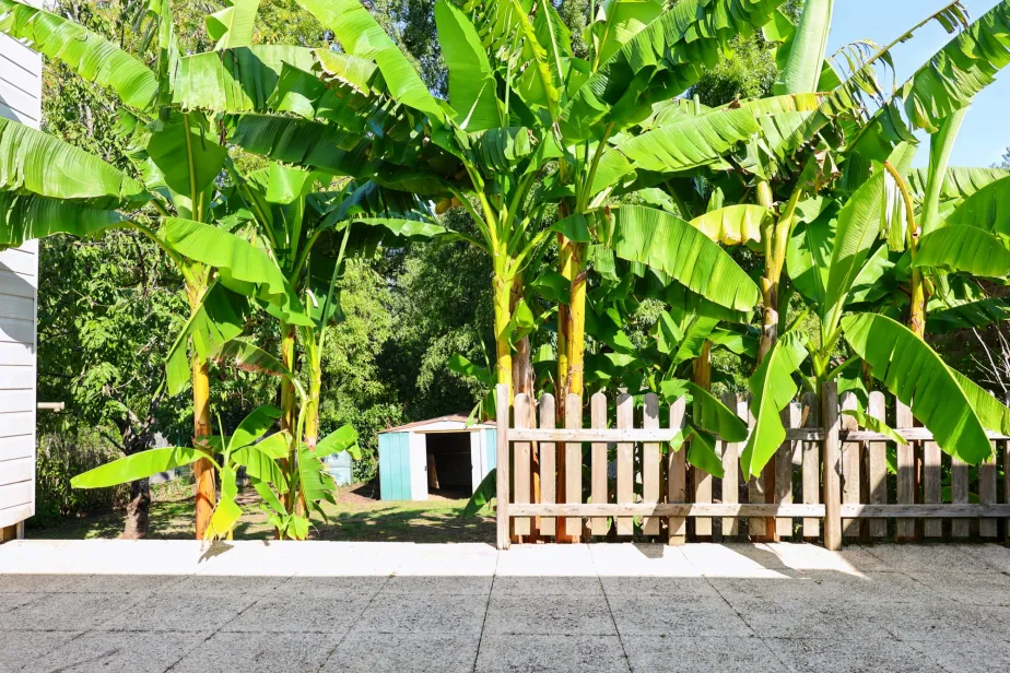 Maison centre 4 chambres, Clisson, Passio Immo