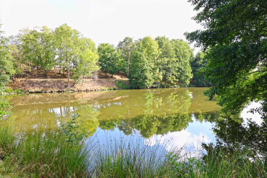 Propriété d'exception, Clisson, Passio Immo