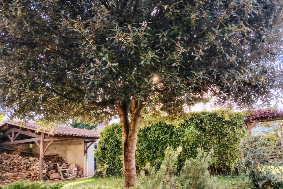 Maison 3 chambres avec dépendances, Clisson, Passio Immo