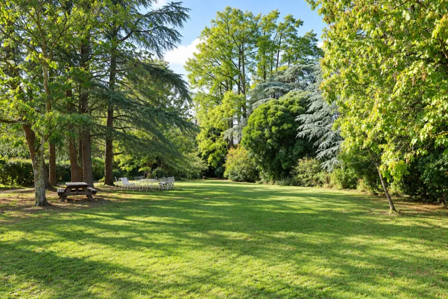 Propriété d'exception au coeur de Clisson, Clisson, Passio Immo