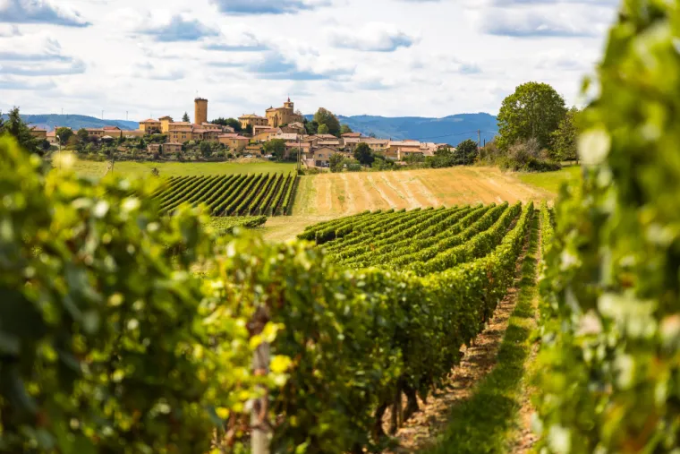 Estimation pour vendre sa maison dans le Vignoble nantais, Clisson, Passio Immo