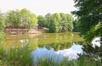 Propriété d'exception, Clisson, Passio Immo