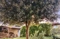 Maison 3 chambres avec dépendances, Clisson, Passio Immo